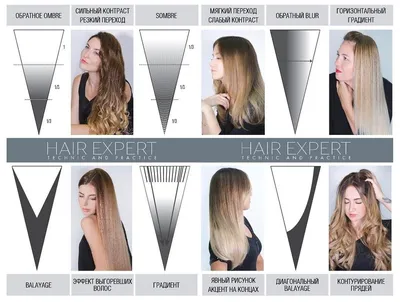 Существует 2 основные схемы нанесения красителя - для длинных и для  коротких волос. | ВКонтакте
