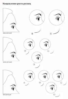 Схема наращивания ресниц. Классика | Ресницы, Ресницы советы, Наращивание  ресниц