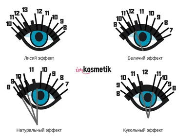Схемы направления наращивания ресниц с описанием - мастеру по ресницам,  бровям, шугарингу