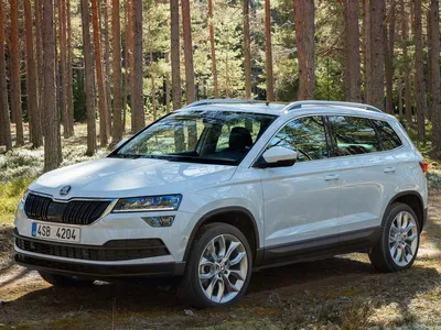 Skoda Karoq 2021 - Фотообзор из автосалона, цена и все подробности | В  Движении | Дзен