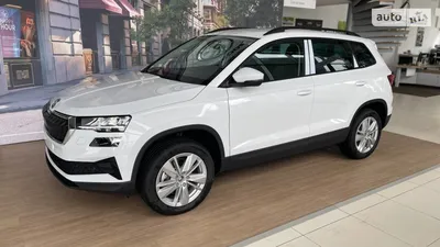 SKODA KAROQ. Тест-драйв. Первые впечатления после поездки. | Мой Дзен | Дзен