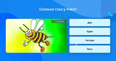 Самые опасные насекомые в Волгограде - 16 августа 2017 - v1.ru