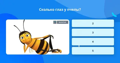 Сколько глаз у пчелы? | Ответ на вопрос | QuizzClub