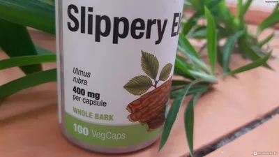 Скользкий Вяз, Slippery Elm Bark,, 400 мг 100 капсул Nature's Way ‣ Цена  509 грн ‣ Купить в интернет-магазине Каста ‣ Киев, Одесса, Харьков ‣  Доставка по всей Украине!(#228292216)