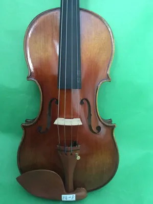 Скрипка Amati VG106 44 - купить в Баку. Цена, обзор, отзывы, продажа