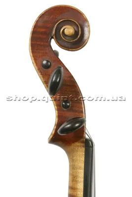 Скрипка Amati VM100M 44 - купить в Баку. Цена, обзор, отзывы, продажа