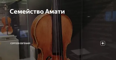 В запорожском аэропорту пресекли попытку вывоза старинной скрипки Амати