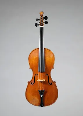 Скрипка Amati VG107 4/4, коричневая - купить в Баку. Цена, обзор, отзывы,  продажа