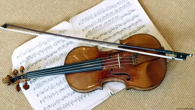 Скрипка 4/4 в комплекте Stagg VN-4/4: купить в Минске, цена | Muz.by
