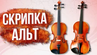 Скрипка Sonata 4/4 купить по лучшей цене в Алматы