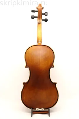 Гид по струнам: скрипка