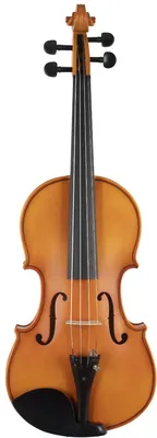 Анатомия скрипки: виды и размеры |