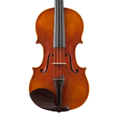 Скрипка Strunal 160-1/8 студенческая, размер 1/8, верхняя дека - массив ели  | Источник Звука