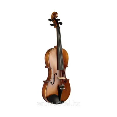 Скрипка - купить Скрипки ученические в магазине музыкальных инструментов  Muzikant, купить скрипку ученическую с доставкой по Украине, а также скрипку  ученическую заказать в нашем интернет магазине