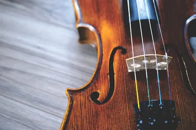 Продаю скрипку 3/4 из Чехии ручной: 25000 KGS ➤ Скрипки | Бишкек |  100942687 ᐈ lalafo.kg