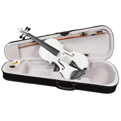 HMI HV-100HA 4/4 Скрипка Student 4/4 купить в недорого - отзывы, обзор,  характеристики и цены | «Музыкальный Арсенал»