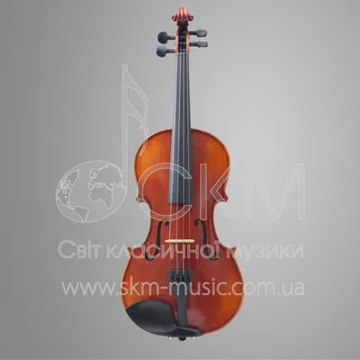 Скрипка BRAHNER BVC-370/MWH 4/4 белая ученическая - купить с доставкой по  выгодным ценам в интернет-магазине OZON (289931875)