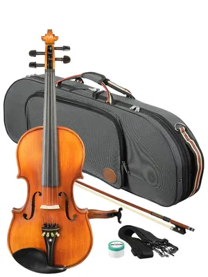 Какая скрипка вам подходит и на что обратить внимание при выборе? |  PopMusicRu | Дзен