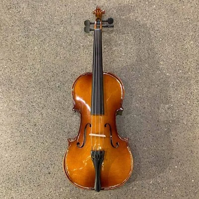Скрипка 4/4 в комплекте Stagg VN-4/4: купить в Минске, цена | Muz.by