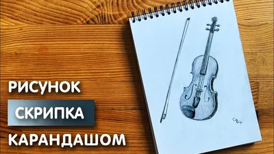 современный музыкальный инструмент скрипка PNG , скрипка, скрипка,  современные инструменты PNG картинки и пнг рисунок для бесплатной загрузки