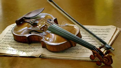 Найденная москвичом скрипка Страдивари оказалась немецкой подделкой - KP.RU