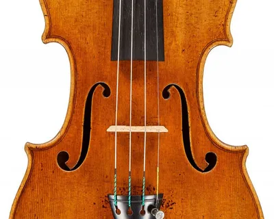 Почти 300-летняя «королева оркестра»: пограничники ищут владельца  уникальной скрипки (фото)