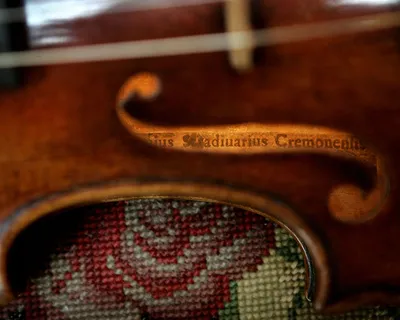 В США найдена скрипка Страдивари, украденная 35 лет назад - АЗЕРТАДЖ