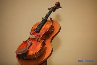 США: украденная 35 лет назад скрипка Страдивари вернулась в семью | Euronews