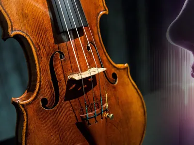 В Англии нашлась украденная скрипка Страдивари — РБК