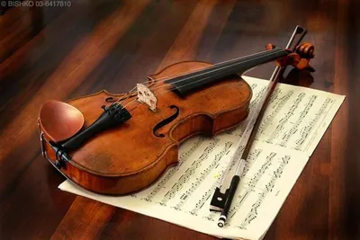 Скрипка Страдивари была найдена у украинца на границе - он хотел вывезти ее  в Болгарию | РБК Украина