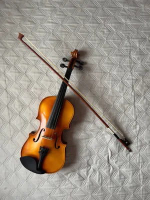 Игрушка музыкальная «Скрипка. Маэстро», звуковые эффекты, цвет  светло-коричневый по оптовой цене в Астане