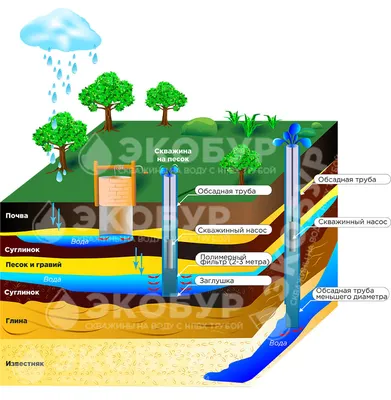 Устройство скважины для воды: конструкция, схема и принцип работы скважины  на воду