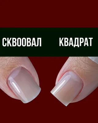 Курс «BEST NAIL MASTER»