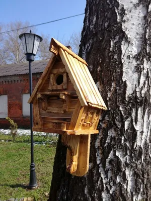 Лучший способ привлечь на свой участок птиц — соорудить для них домики