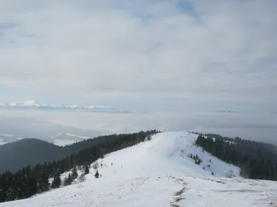 Вид с горы Тростян | пгт. Славско (Карпаты) | mckros | Flickr
