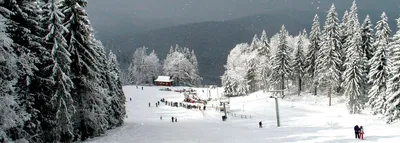 Отдых в Славском 2018-2019 - горнолыжный курорт, цены и отзывы