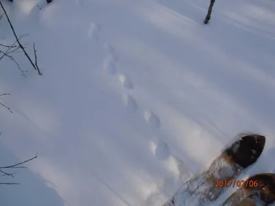 Просто надпись доброе утро на снегу…» — создано в Шедевруме