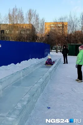 Водяные крысы оккупировали берег реки в Липецкой области (фото) —  LipetskMedia