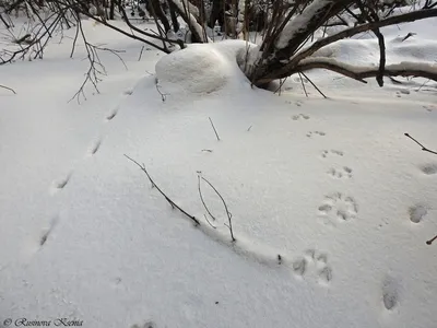 Экологические экскурсии