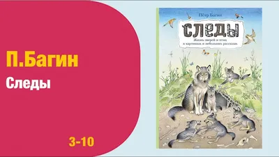 Иллюстрация 1 из 42 для Следы зверей и птиц. Энциклопедический  справочник-определитель - Вадим Гудков | Лабиринт -