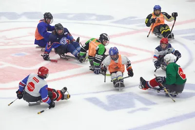 Юные следж-хоккеисты со всей страны проводят тренировки на барнаульском  льду БАРНАУЛ :: Официальный сайт города
