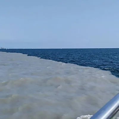 Слияние двух морей» в Сочи попало на видео: Россия: Путешествия: Lenta.ru