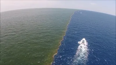 Балтийское море и атлантический океан - 63 фото