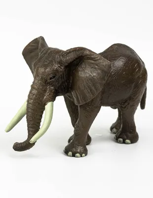 Раскраска маленький слон. Маленький слон с большими ушами - раскраска для  детей. Онлайн раскраски.