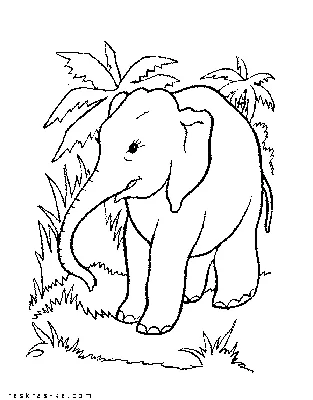 Как нарисовать слона за 101 копейку (детям) | Антон Батов | Дзен