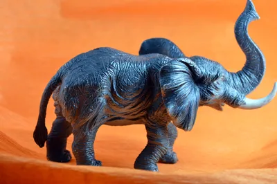 Муравей и Слон Африканский слон 101 Шутка Слон Игра для детей, рисунок слона,  млекопитающее, ребенок png | PNGEgg