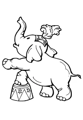 Раскраска со слонами для детей 4-8 лет: Милые и красивые слоны в раскраски  для девочек и мальчиков : MARSHALL, KIM: Amazon.pl: Książki