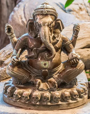 Ганеша, симпатичный индуистский бог с человеческим телом и головой слона,  бог изобилия, букв и знания. | Премиум Фото