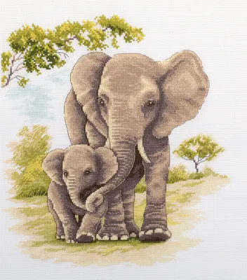Ходячий слон на белом фоне африканский слон на униформе на белом фоне  фотография слона крупным планом, вид сбоку | Премиум Фото