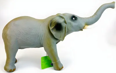 слон пнг картинки, скачать 17000+ слон PNG рисунок с прозрачным фоном